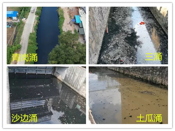 廣東省中山市治水工作部署推進不力,內河涌污染問題突出 新聞資訊 第2張