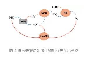 主流厭氧氨氧化工藝的研究與應用進展 新聞資訊 第7張