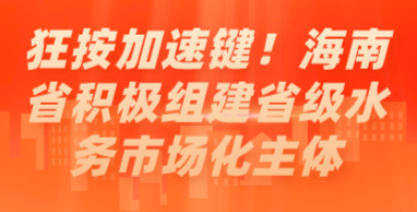 狂按加速鍵！海南省積極組建省級水務(wù)市場化主體